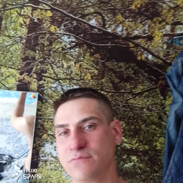  33724493  , 40 ,    