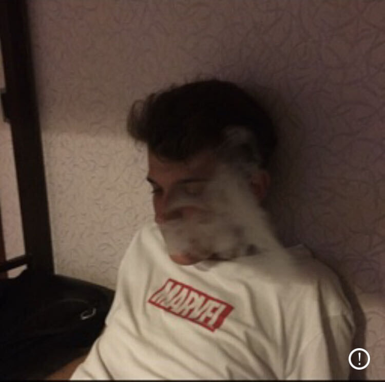 ���� 25102033 ������� ����, 26 ���, ���� ���������� � ������