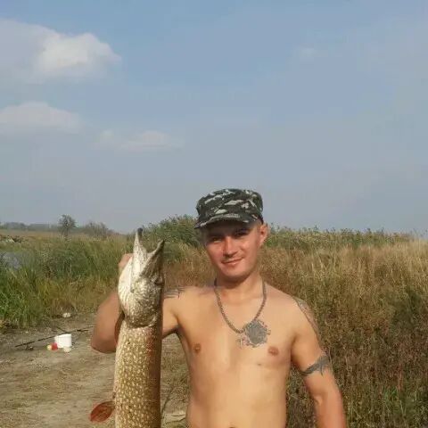 ���� 26867363 ������� �������, 39 ���, ���� ���������� � ��������