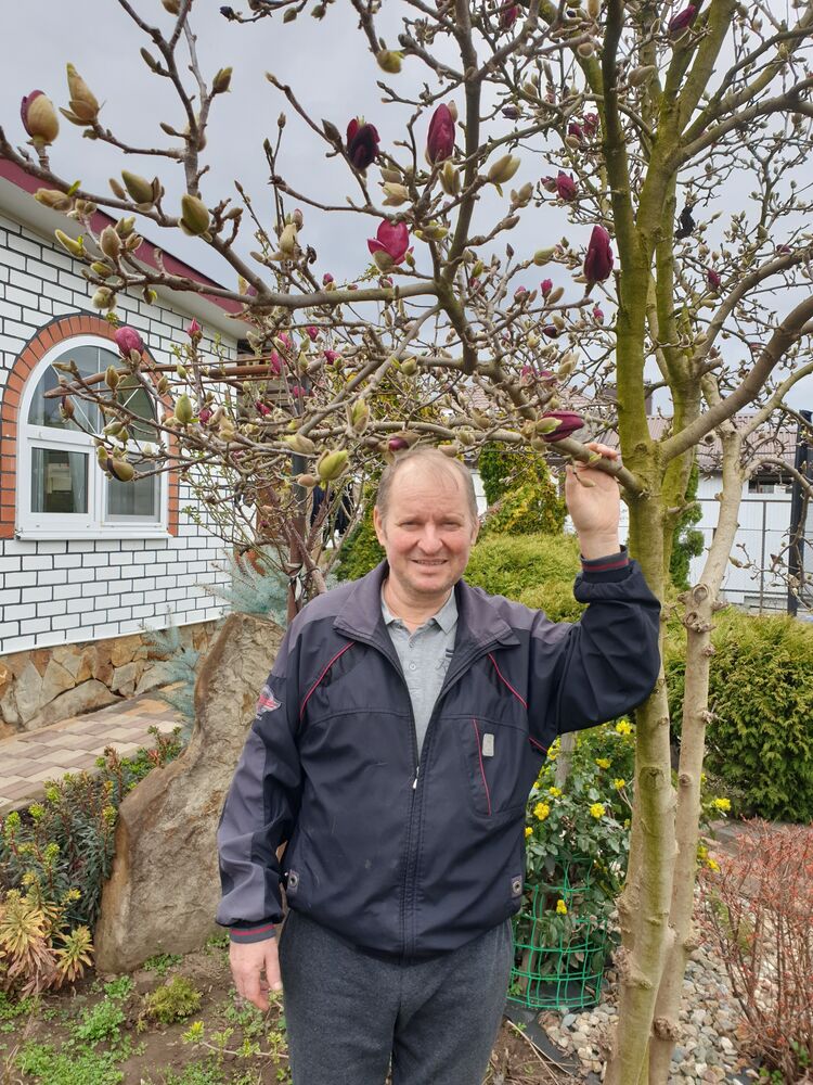 ���� 56154643 ������� �������, 51 ���, ���� ���������� � ������� �����