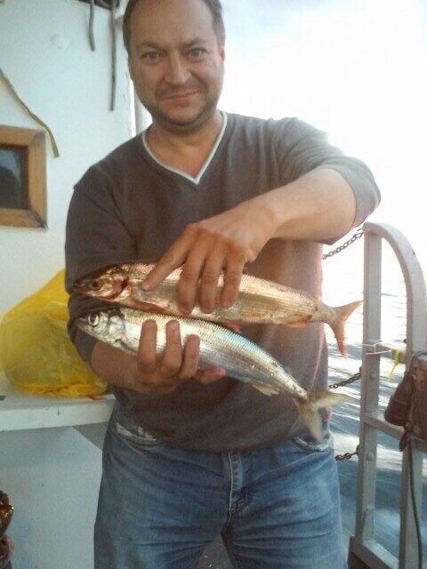 ���� 21381093 ������� ���������, 60 ���, ���� ���������� � ����������