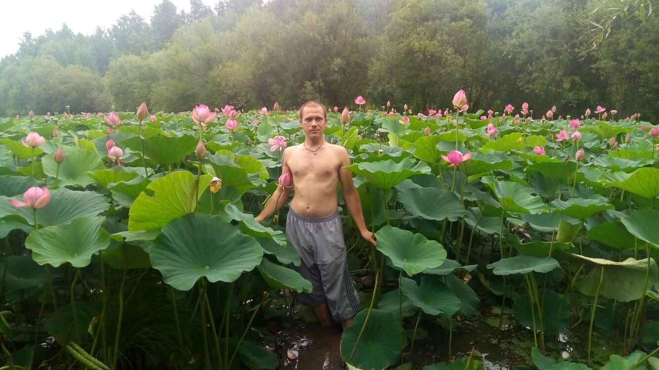 ���������� ���������, ���� ������� ���������, 38 ���, ������������ ��� ����� � ���������, c�������� ���������