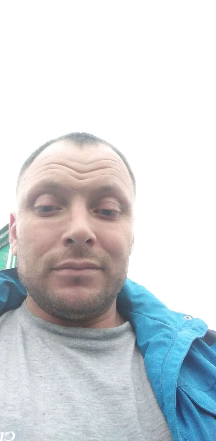  33586913  , 44 ,    