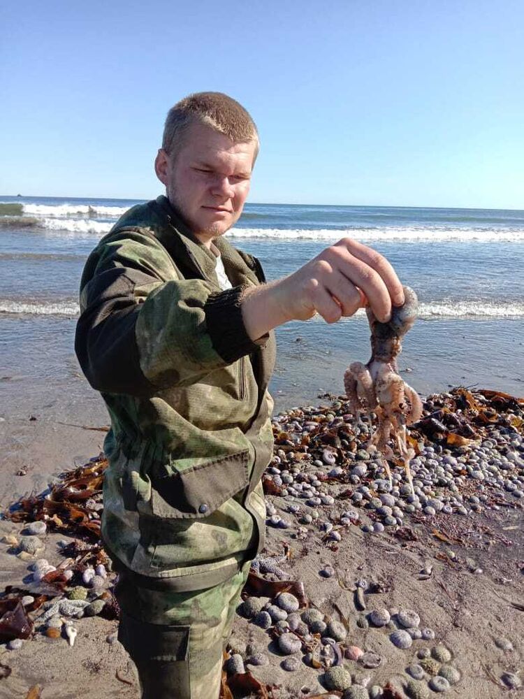 ���������� ������, ���� ������� ����, 28 ���, ������������ ��� c�������� ���������