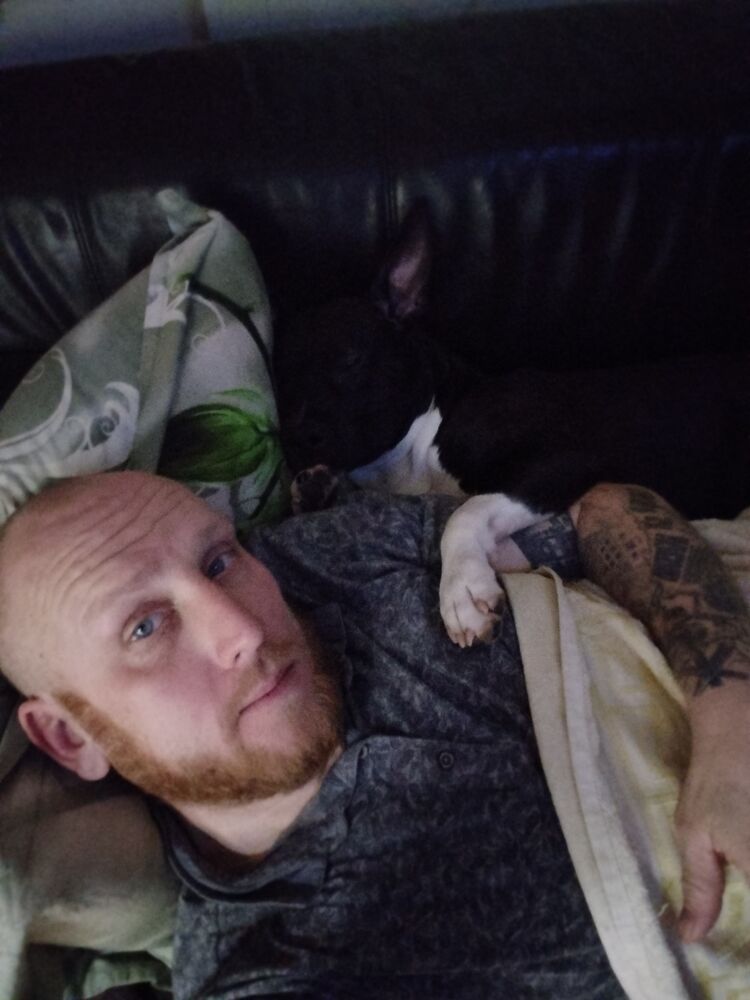 ���������� ������, ���� ������� �������, 43 ����, ������������ ��� ������, ����� � ���������, c�������� ���������