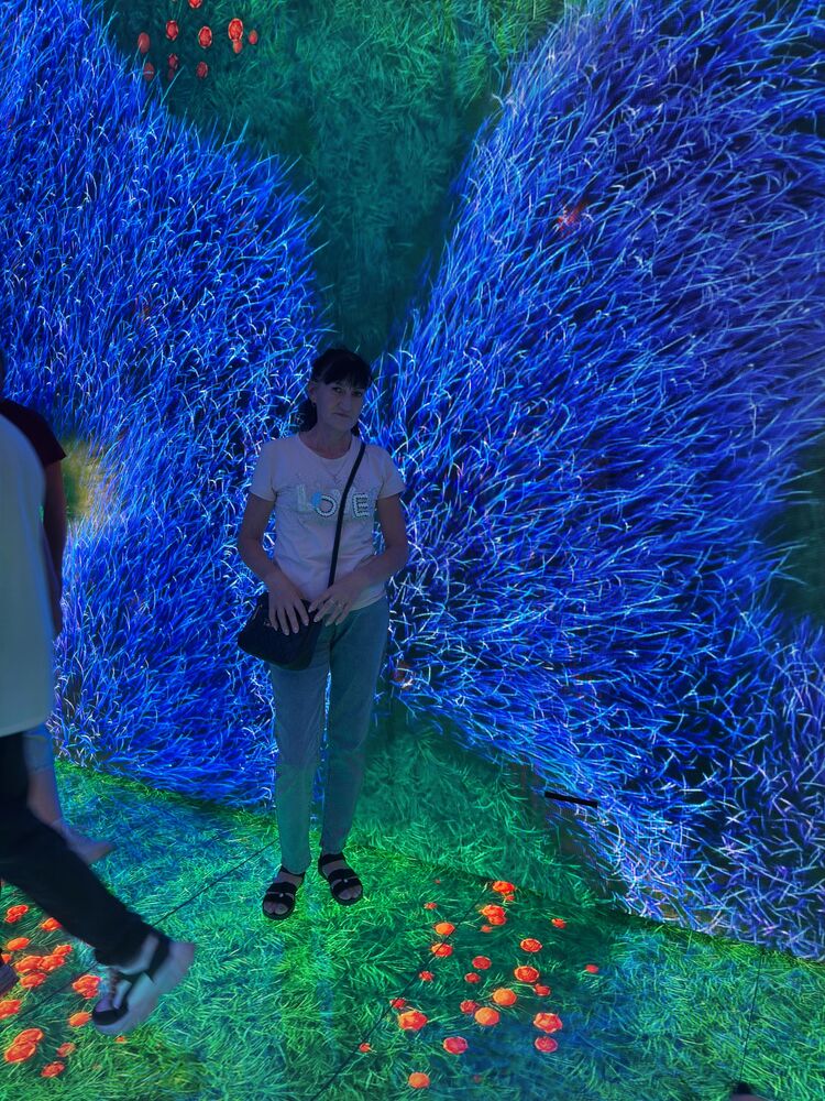 ���������� ������, ���� ������� �����, 84 ����, ������������ ��� ������, ����� � ���������