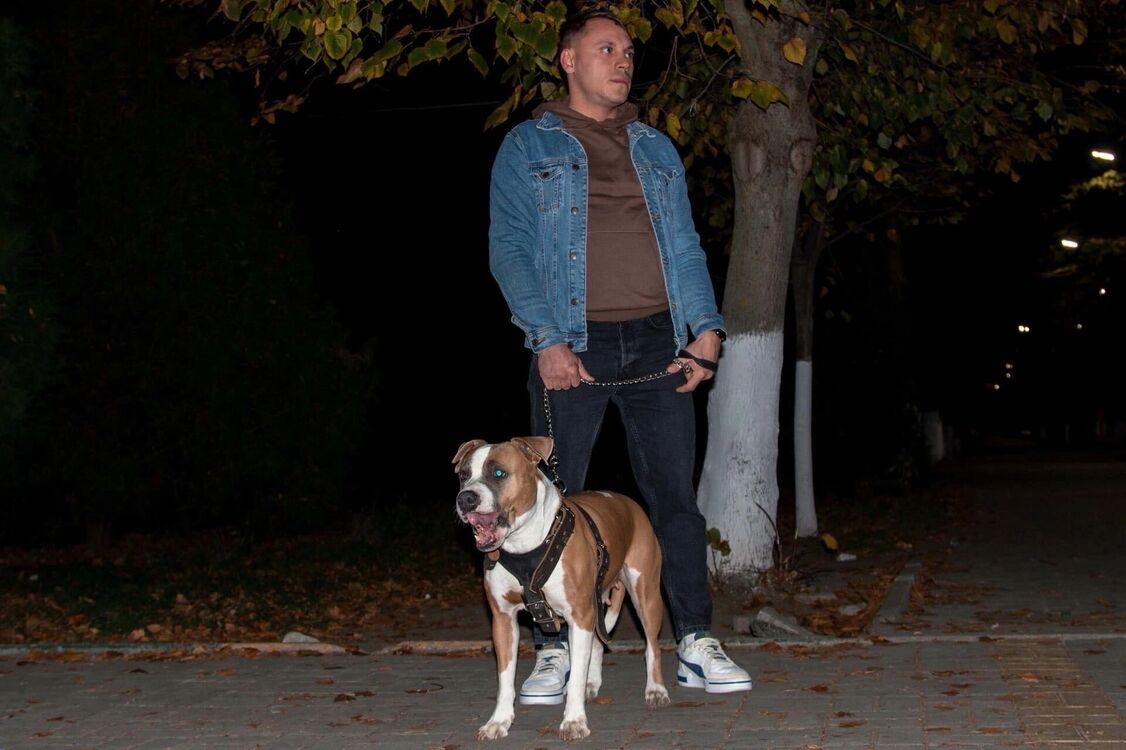 ���������� ������-��-����, ���� ������� �������, 31 ���, ������������ ��� ������, ����� � ���������, c�������� ���������