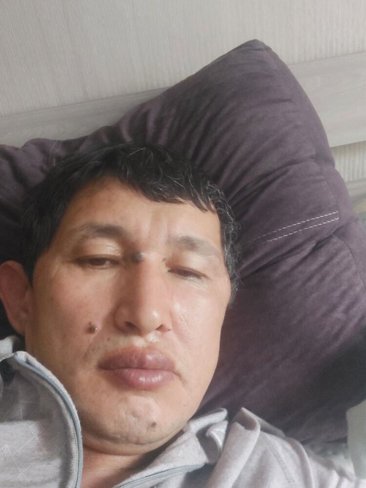  38503313  , 45 ,    