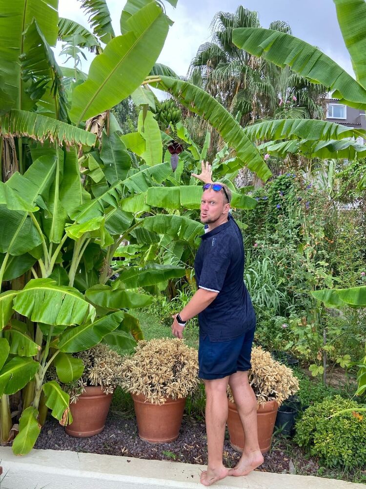 ���������� ������ ��������, ���� ������� ������, 39 ���, ������������ ��� ����� � ���������, c�������� ���������, ���������