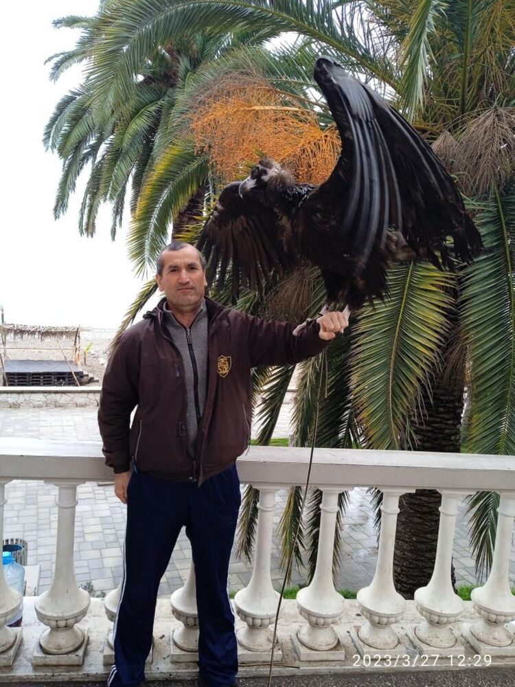 ���������� ������, ���� ������� ���������, 47 ���, ������������ ��� ������, ����� � ���������