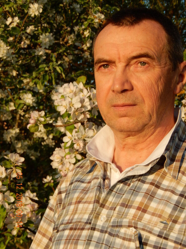  14125113  Aleksandr, 71 ,    