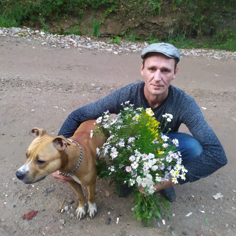 ���� 24068393 ������� ����, 39 ���, ���� ���������� � ����������