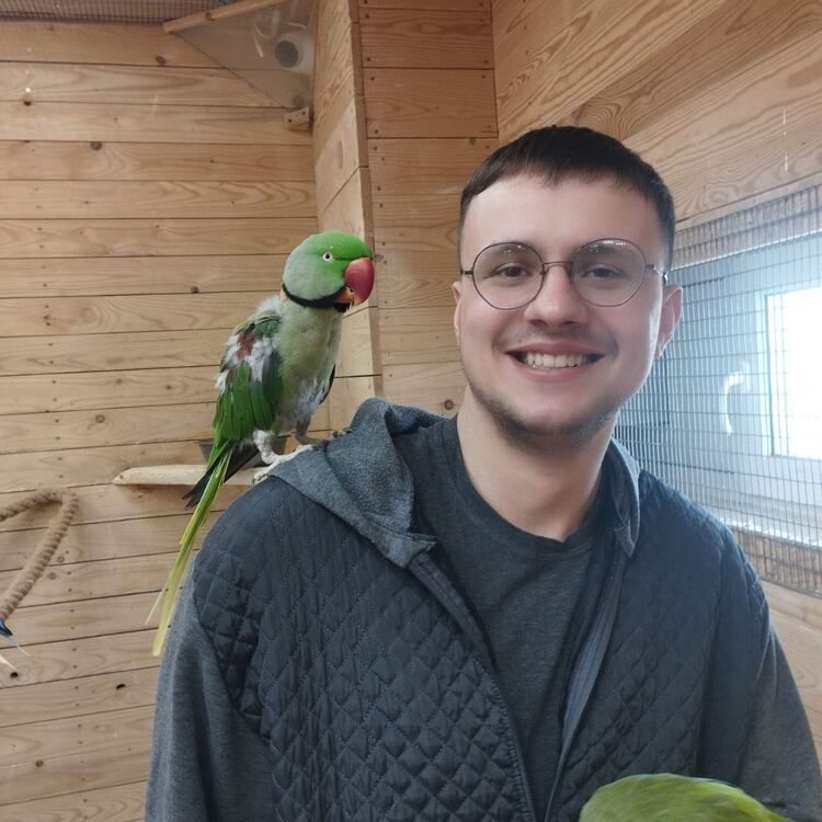 ���� 56204553 ����� ����, 21 ���, ���� ���������� � ������