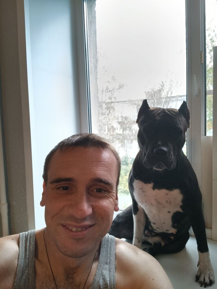 ���� 55172513 ������� ���������, 56 ���, ���� ���������� � �������