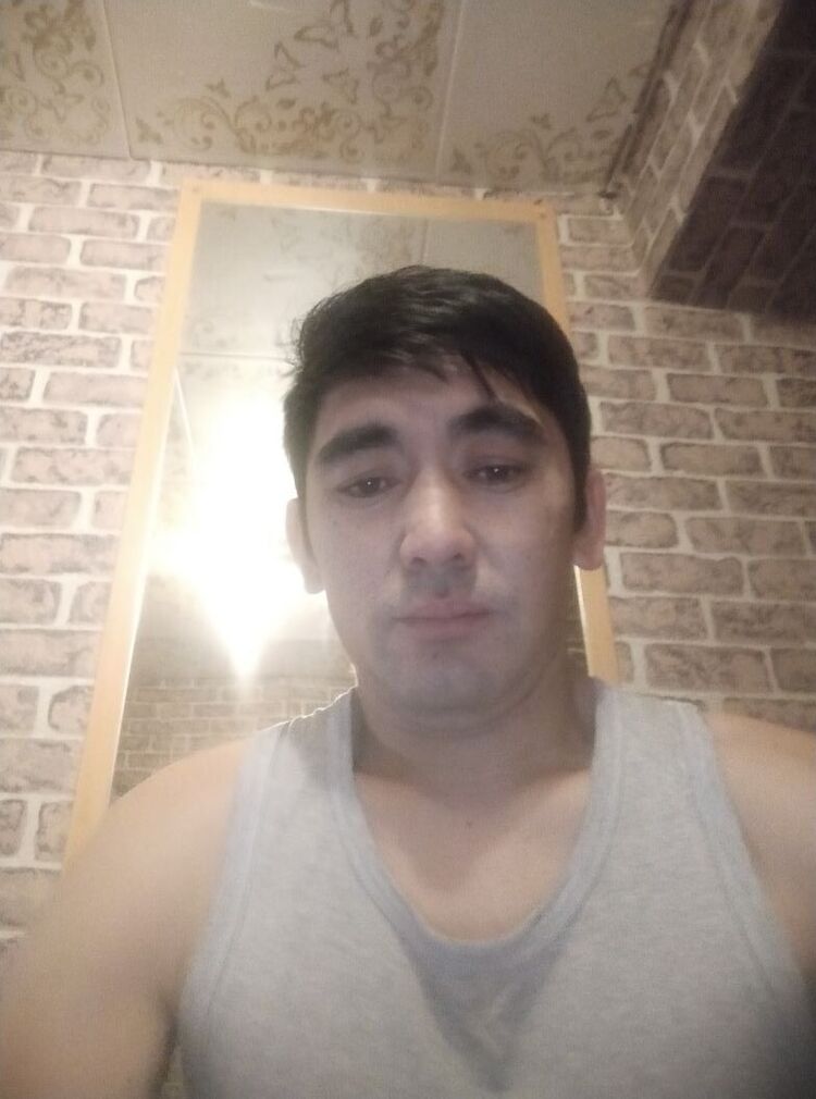  38555513  , 41 ,    
