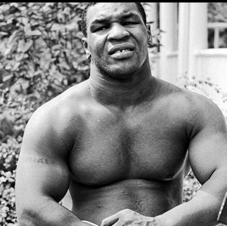 ���� 33064773 ������� ����, 30 ���, ���� ���������� � �������������