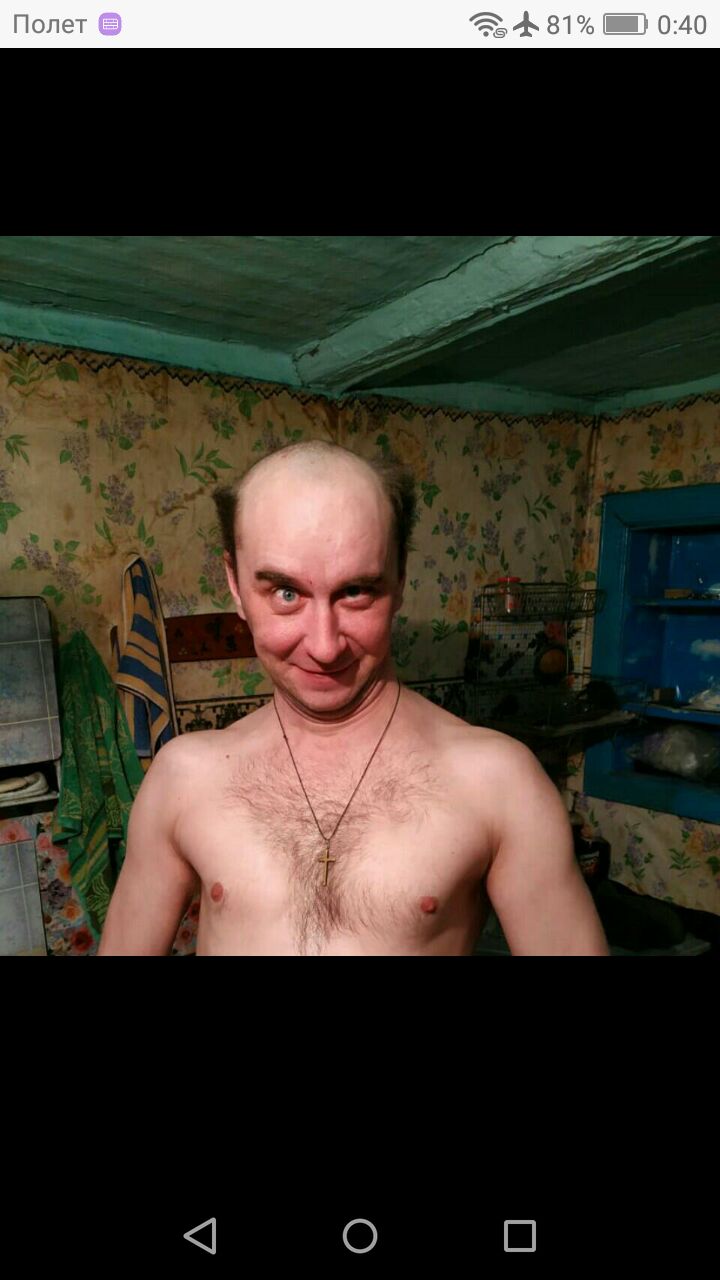  31626863  , 43 ,    