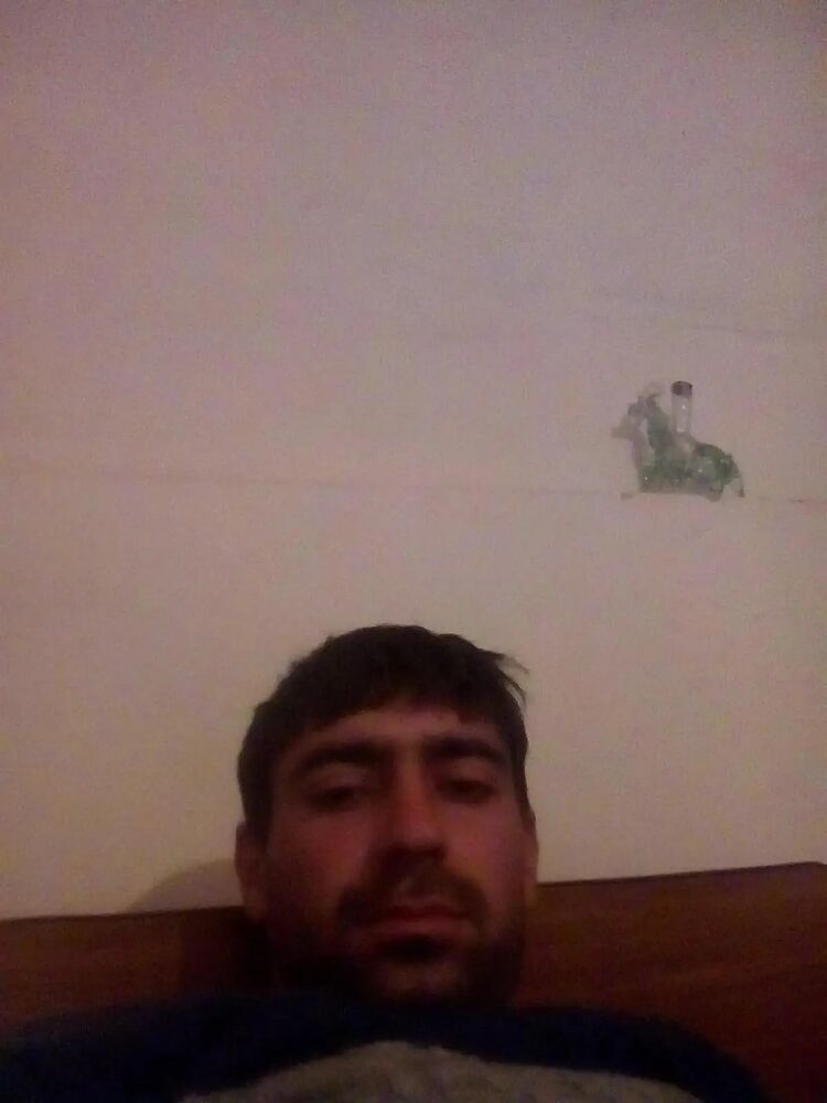 ���� 35267603 ������� ARTUR, 36 ���, ���� ���������� � �������