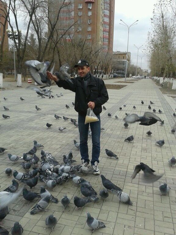 ���������� ���������, ���� ������� 5555, 44 ����, ������������ ��� ������