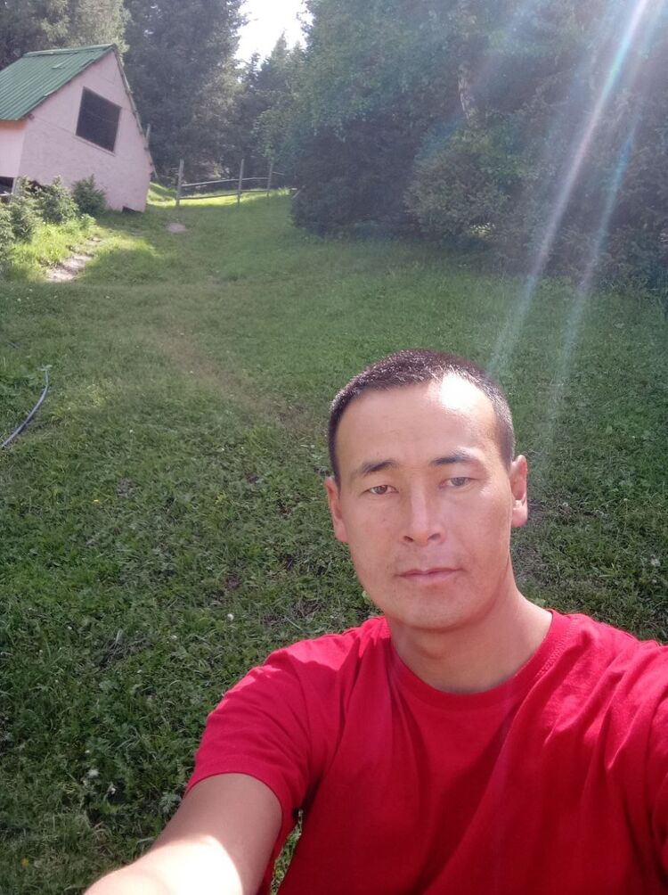  26665453  , 31 ,    
