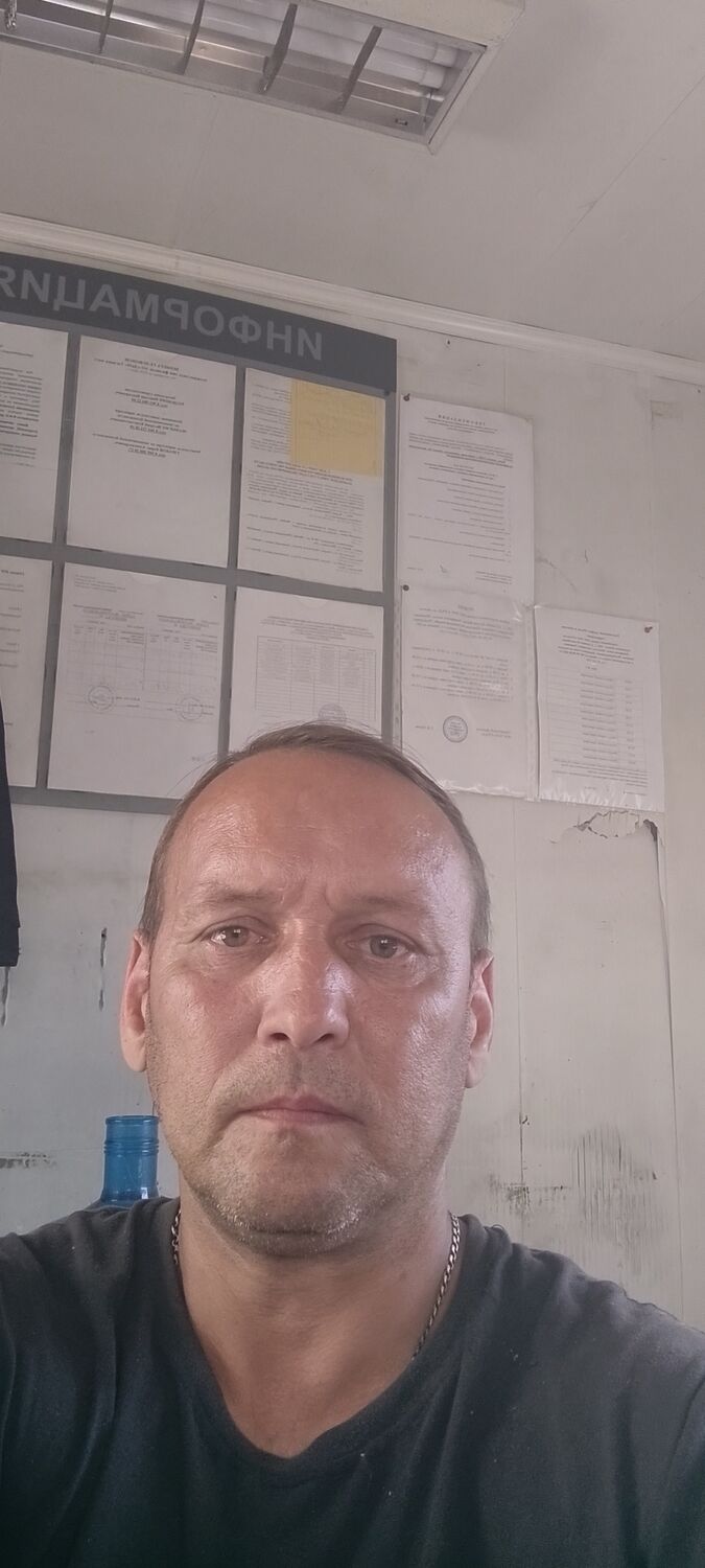 ���������� ������, ���� ������� Dogs, 47 ���, ������������ ��� ������, ����� � ���������