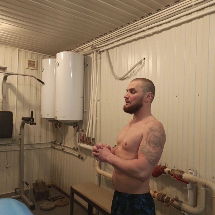  53680083  , 41 ,     