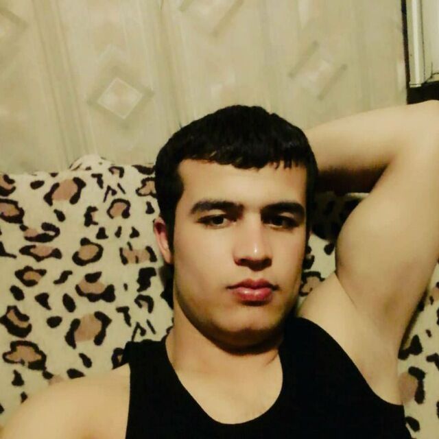  34045033  , 31 ,    