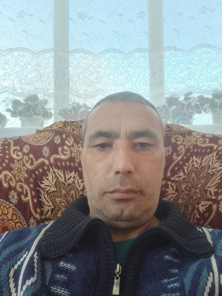 ���� 49550913 ������� ������, 44 ����, ���� ���������� � ������������