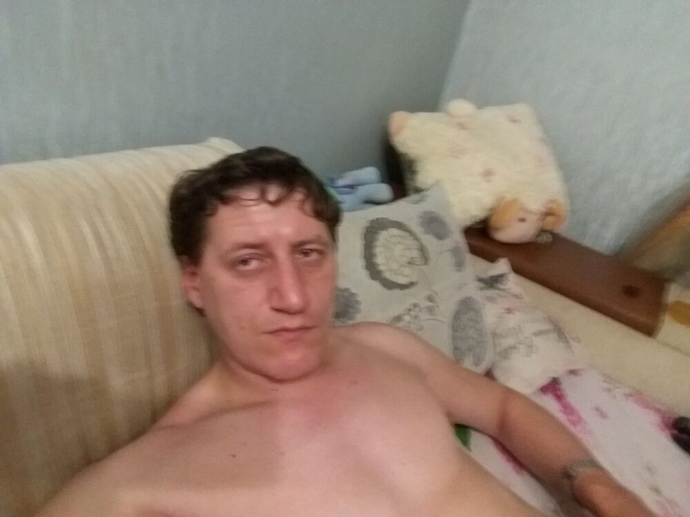  8137453  , 41 ,    