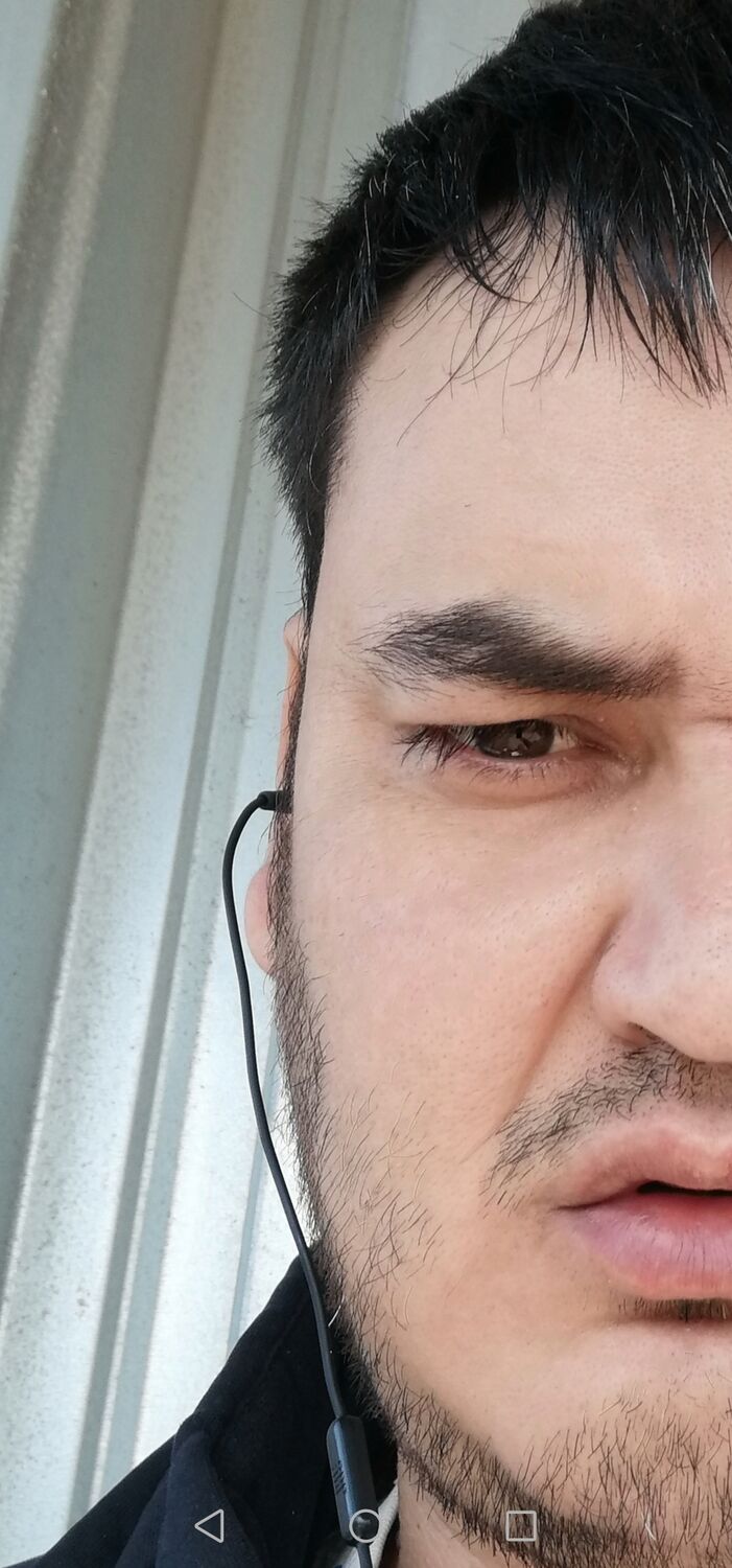  33158753  , 41 ,    