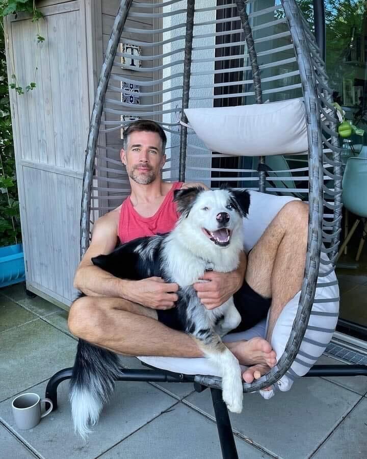 ���������� ������, ���� ������� Ange, 49 ���, ������������ ��� ������, ����� � ���������