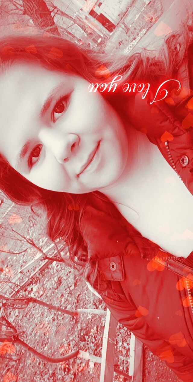  29133033  , 24 ,    