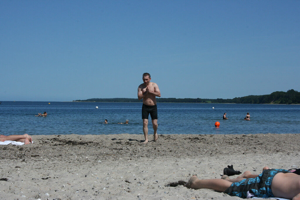  16532013  , 41 ,    Schleswig