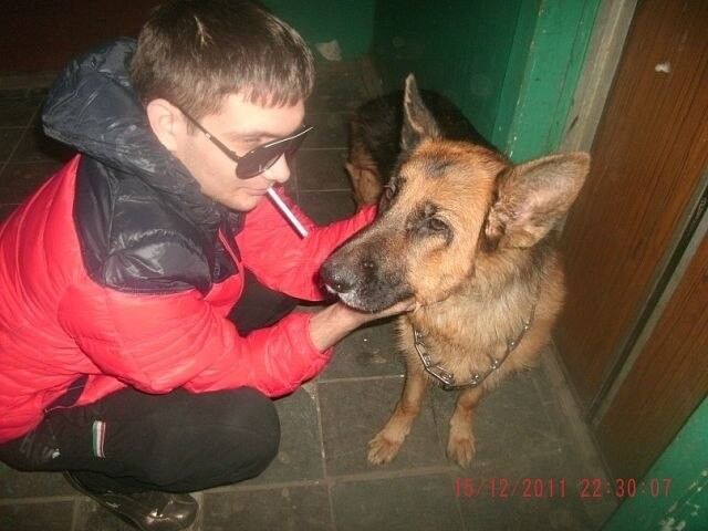 ���������� ���������, ���� ������� �����, 33 ����, ������������ ��� ������