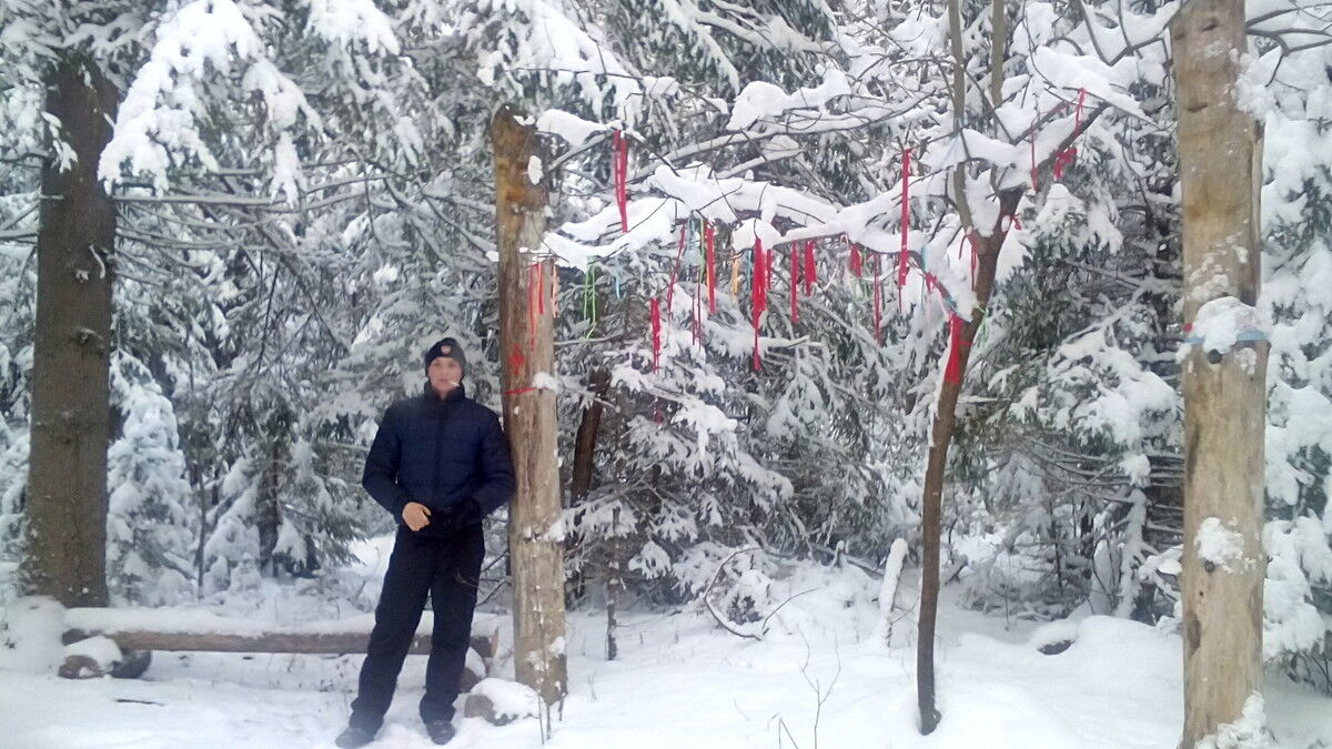 ���� 8790983 ������� ������, 32 ����, ���� ���������� � ��������