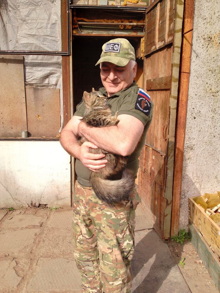 ���� 55523303 ������� ������, 47 ���, ���� ���������� � �������