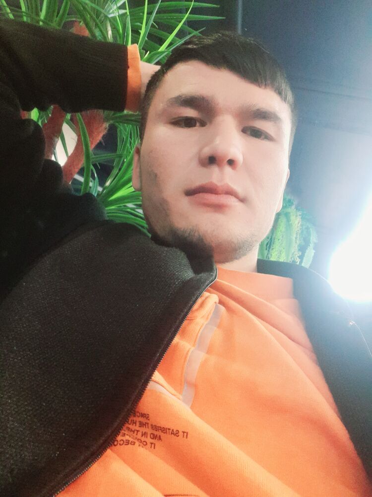  38059193  , 28 ,    -