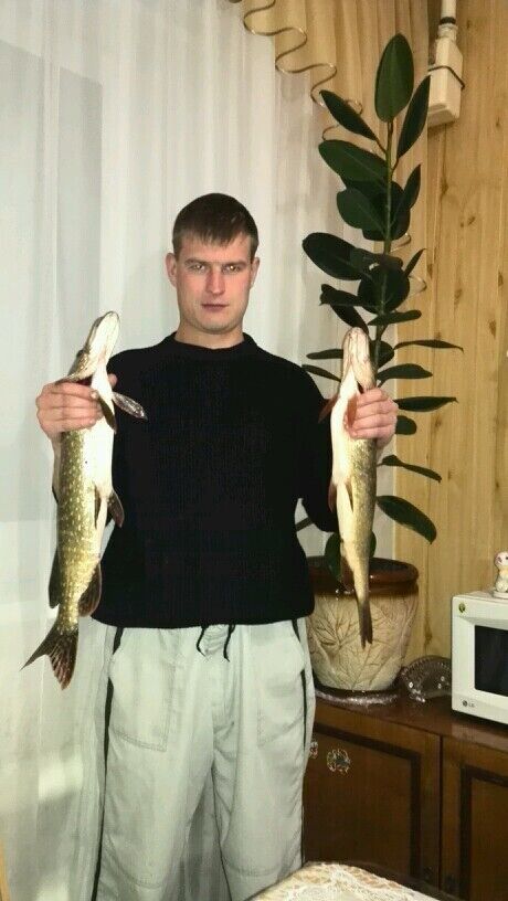 ���������� ������, ���� ������� �������, 41 ���, ������������ ��� ������, ����� � ���������, c�������� ���������