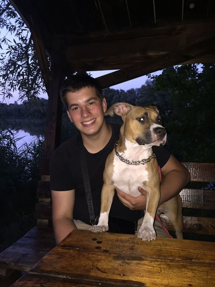 ���� 20914023 ������� ������, 26 ���, ���� ���������� � �����