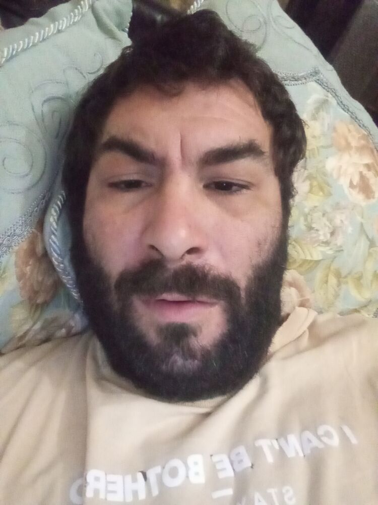  47537553  , 31 ,    