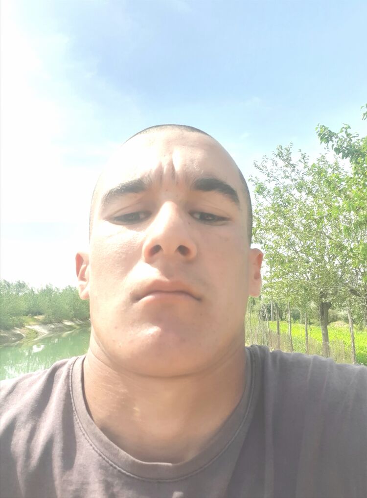  34384433  , 25 ,    