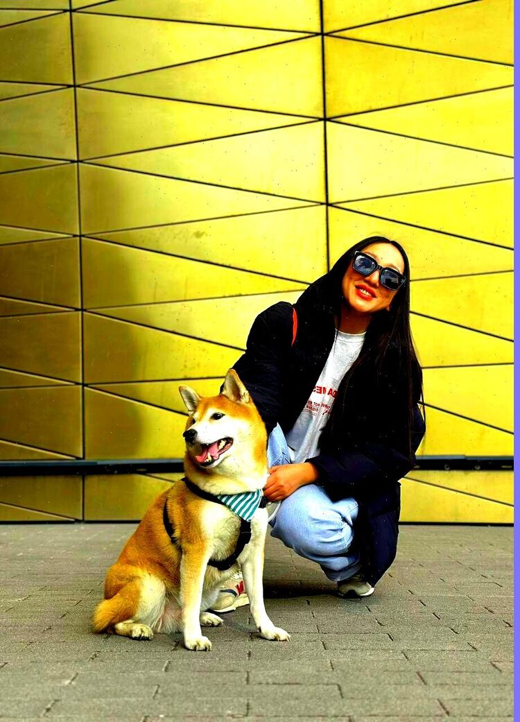 ���� 55270913 ������� ������, 28 ���, ���� ���������� � ������