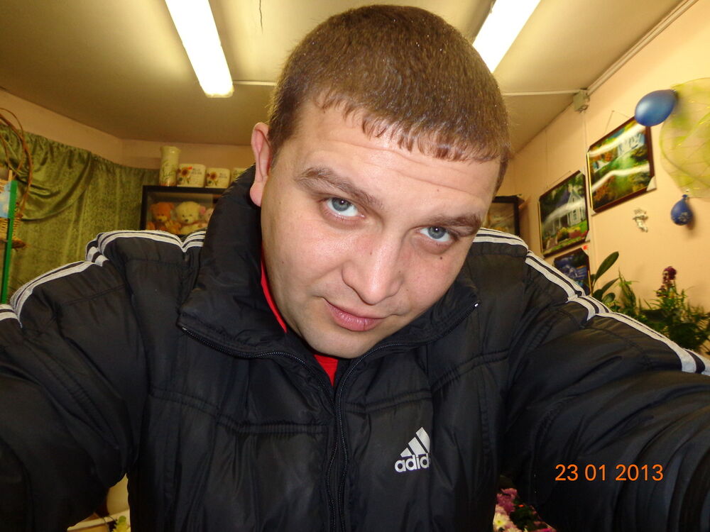  -,   , 41 ,   