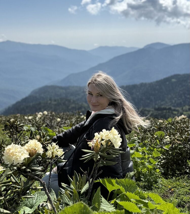  53638203  , 49 ,    --