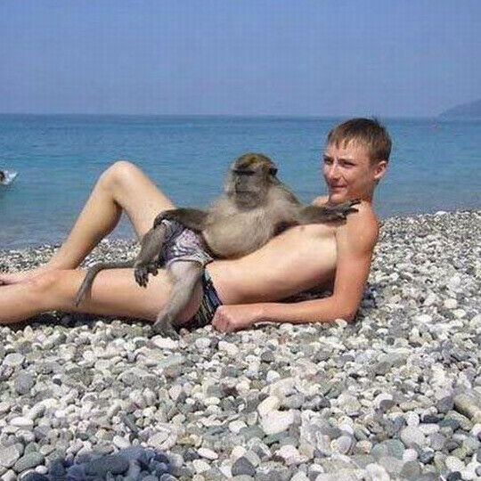 ���� 8210373 ������� Temoha, 37 ���, ���� ���������� � ������