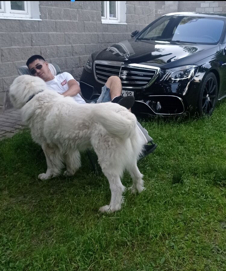 ���� 28548023 ������� ����, 31 ���, ���� ���������� � ������