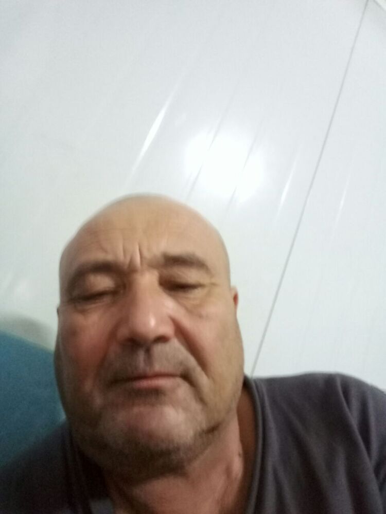  41175163  , 51 ,    