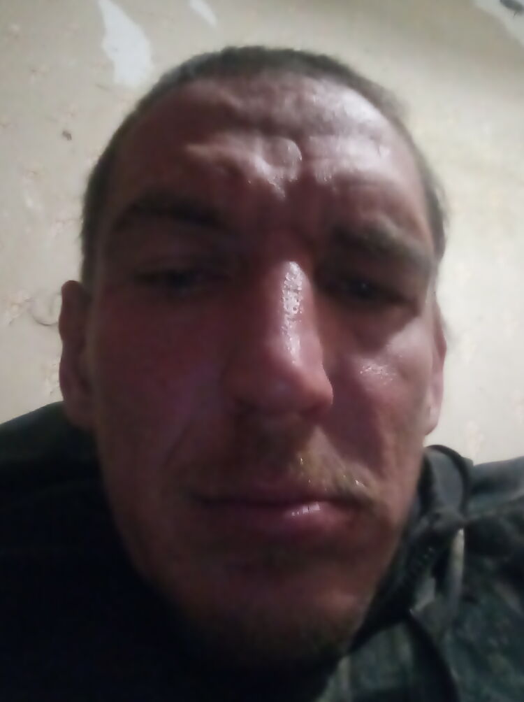  33361283  , 36 ,    