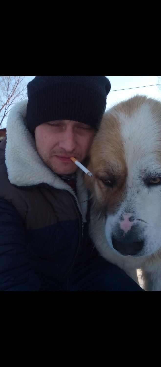 ���������� ����������, ���� ������� �������, 38 ���, ������������ ��� ������, ����� � ���������