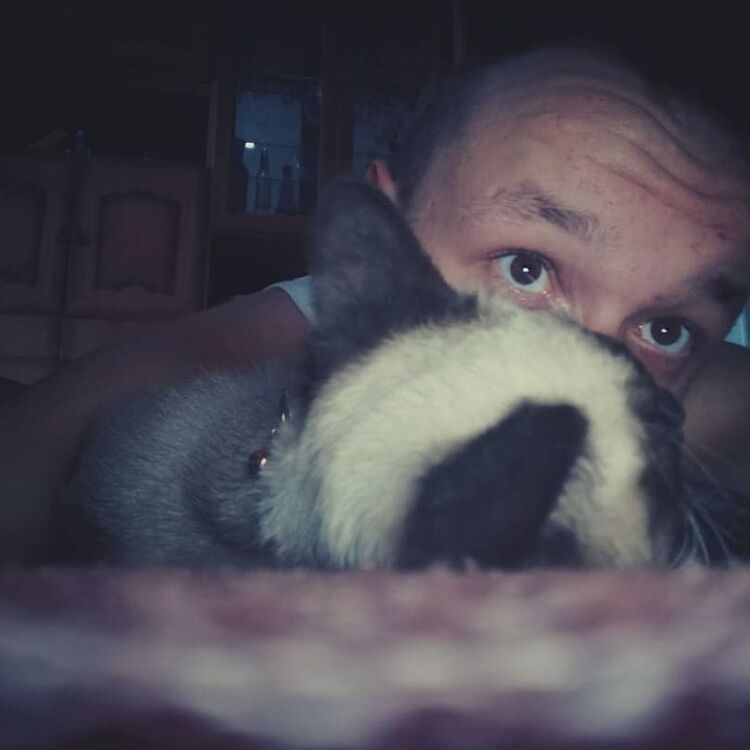 ���� 26626483 ����� �����, 25 ���, ���� ���������� � ��������